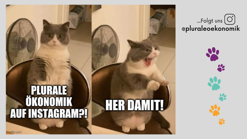 Katzen-Meme. Plurale Ökonomik-auf Instagram? Her damit! Folgt uns unter @pluraleoekonomik.